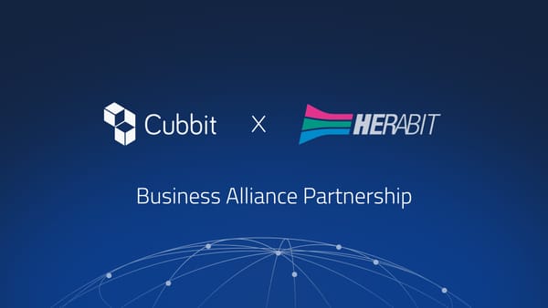 Cubbit e HERABIT lanciano il cloud storage geo-distribuito per le imprese